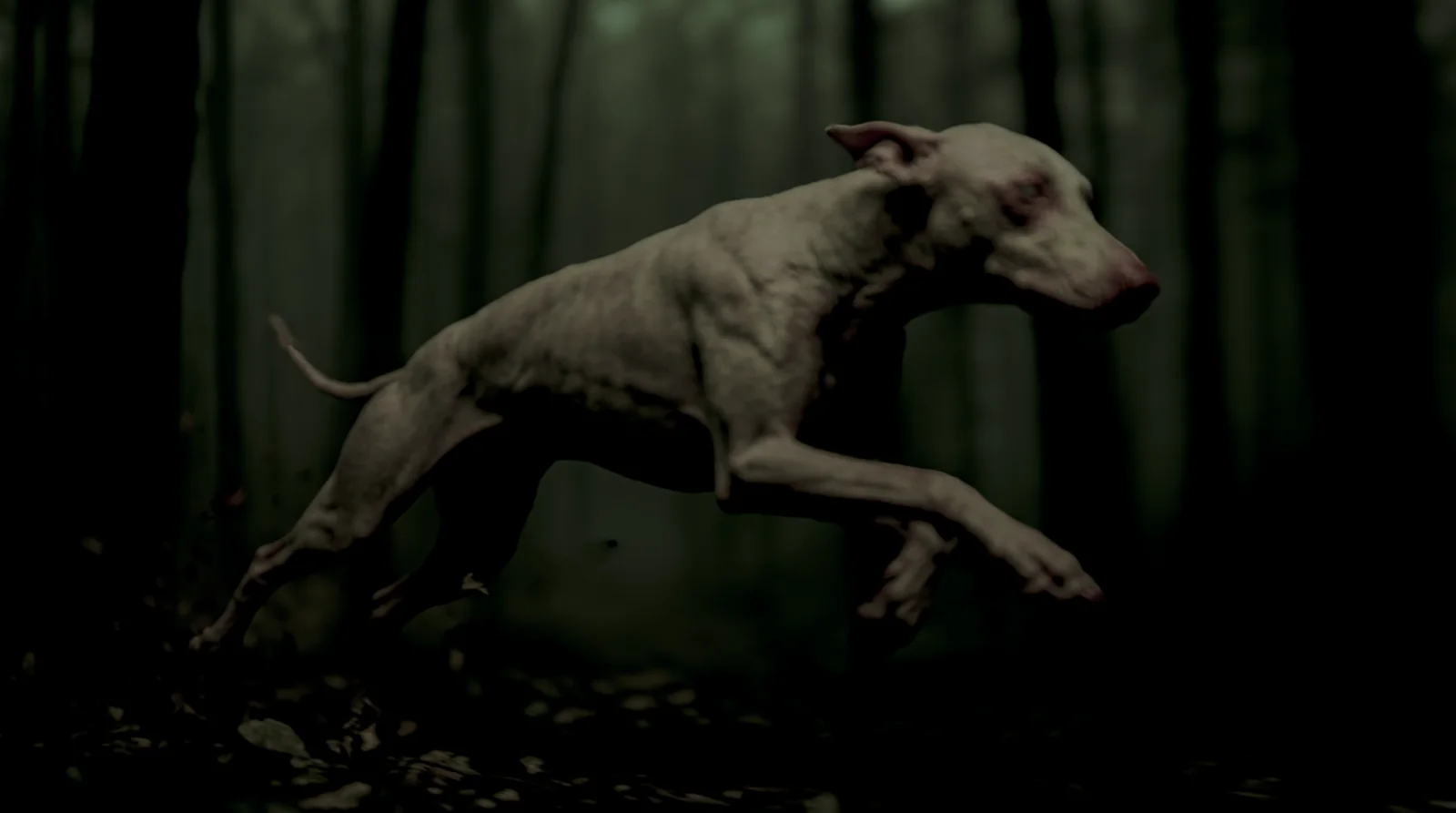 Springender Hund in einem dunklen Wald